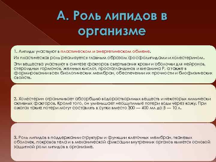 А. Роль липидов в организме 1. Липиды участвуют в пластическом и энергетическом обмене Их