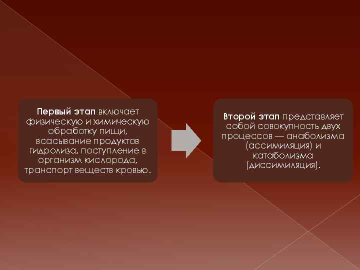 Первый этап включает физическую и химическую обработку пищи, всасывание продуктов гидролиза, поступление в организм
