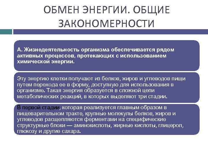 ОБМЕН ЭНЕРГИИ. ОБЩИЕ ЗАКОНОМЕРНОСТИ А. Жизнедеятельность организма обеспечивается рядом активных процессов, протекающих с использованием