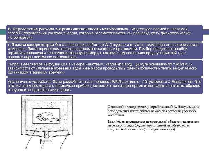 Б. Определение расхода энергии (интенсивность метаболизма). Существуют прямой и непрямой способы определения расхода энергии,