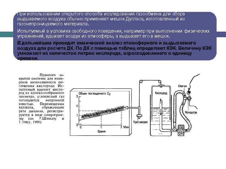 При использовании открытого способа исследования газообмена для сбора выдыхаемого воздуха обычно применяют мешок Дугласа,