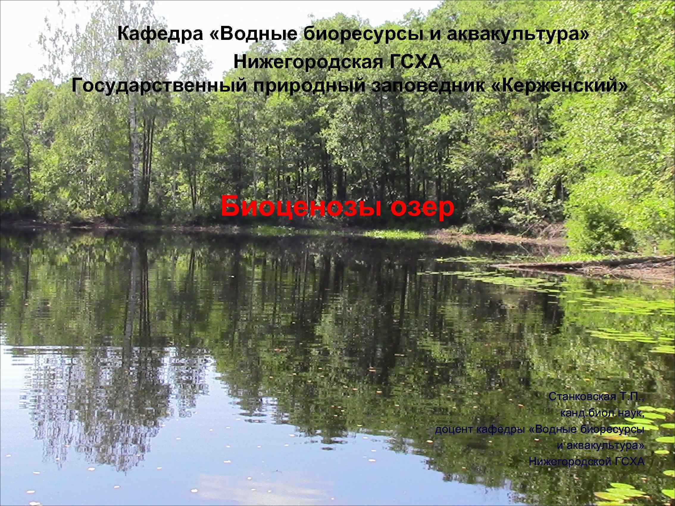 Кафедра «Водные биоресурсы и аквакультура» Нижегородская ГСХА Государственный природный заповедник «Керженский» Биоценозы озер Станковская