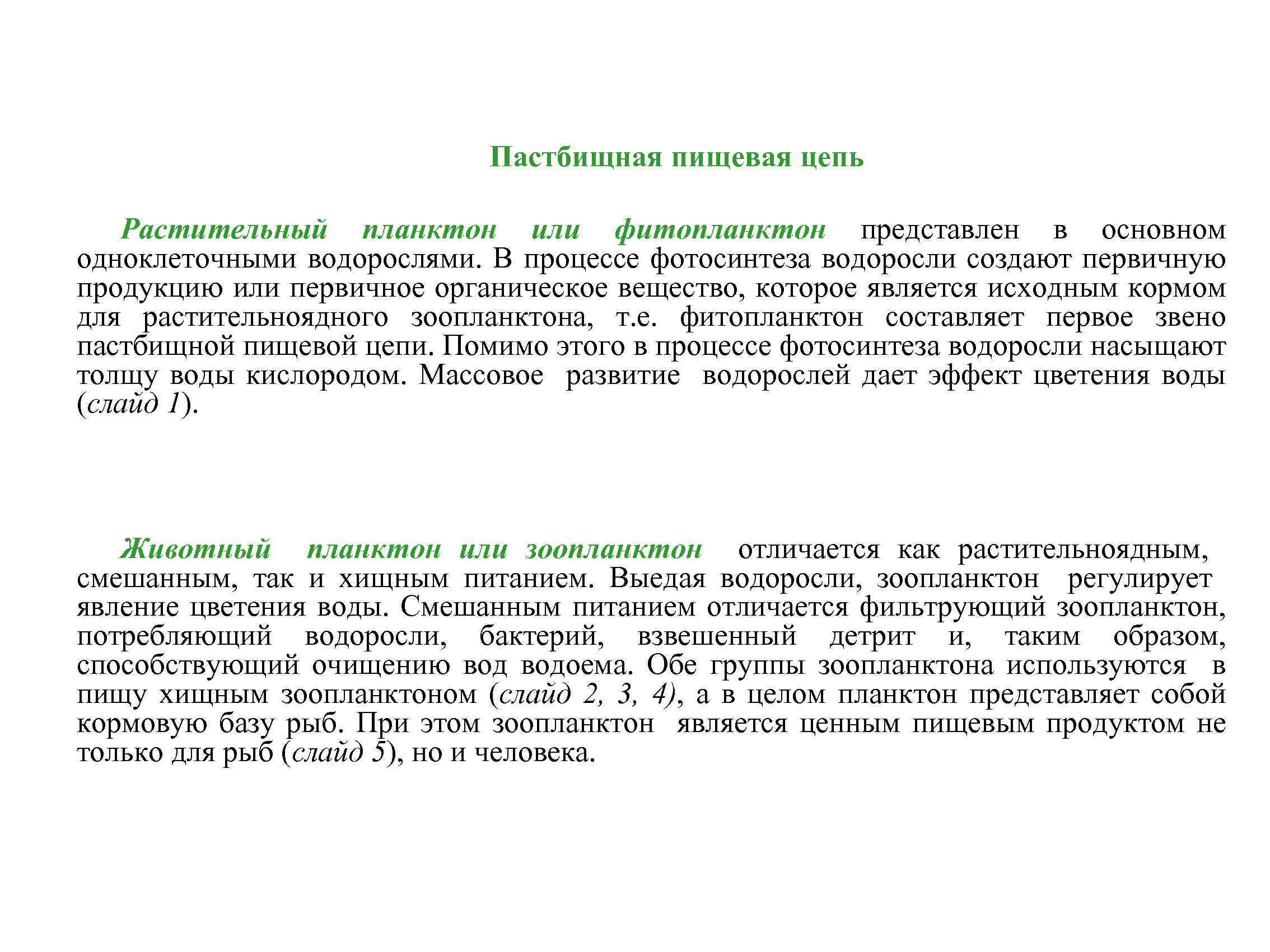 Пастбищная пищевая цепь Растительный планктон или фитопланктон представлен в основном одноклеточными водорослями. В процессе