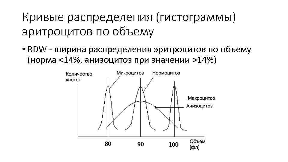 Повышенная ширина распределения эритроцитов