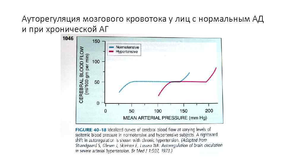 Ауторегуляция мозгового кровотока у лиц с нормальным АД и при хронической АГ 