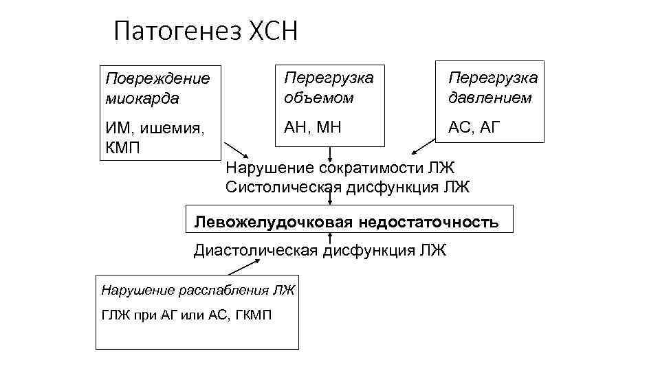 Патогенез ХСН Повреждение миокарда Перегрузка объемом Перегрузка давлением ИМ, ишемия, КМП АН, МН АС,