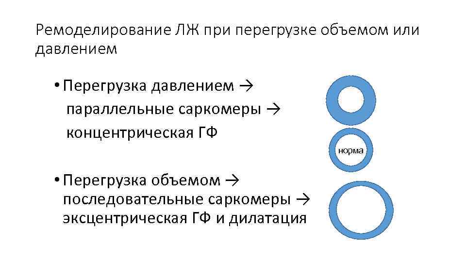 Ремоделирование ЛЖ при перегрузке объемом или давлением • Перегрузка давлением → параллельные саркомеры →