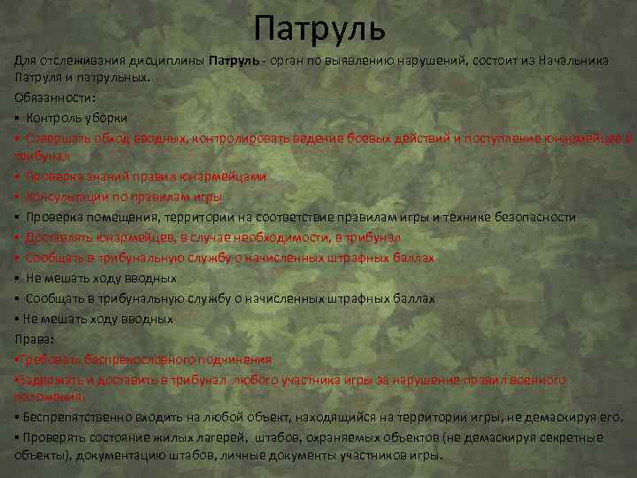 Патруль Для отслеживания дисциплины Патруль - орган по выявлению нарушений, состоит из Начальника Патруля