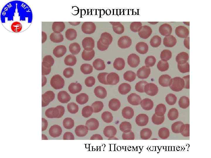 Эритроциты Чьи? Почему «лучше» ? 