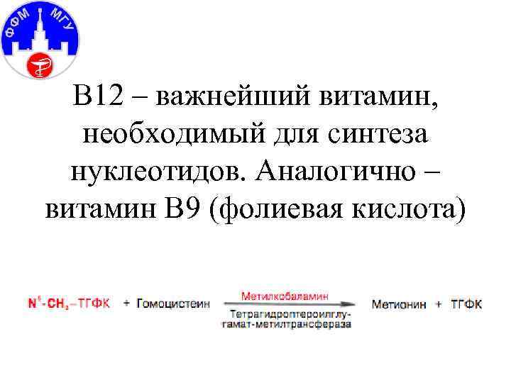 В 12 – важнейший витамин, необходимый для синтеза нуклеотидов. Аналогично – витамин В 9