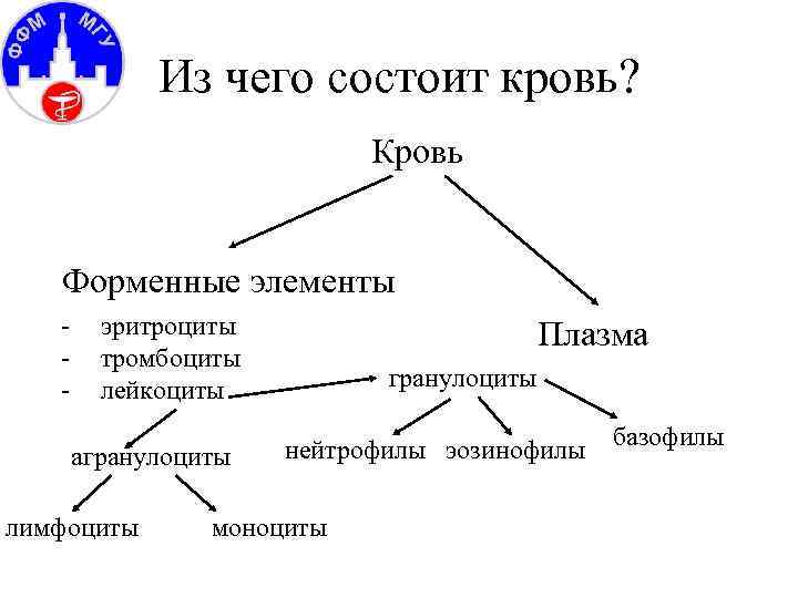 Состав крови схема 7 класс