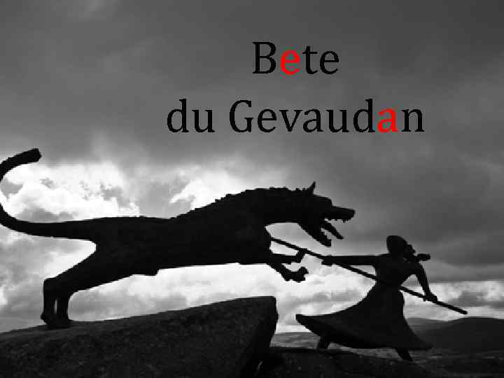 Bete du Gevaudan 