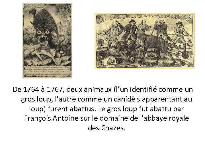 De 1764 à 1767, deux animaux (l’un identifié comme un gros loup, l'autre comme