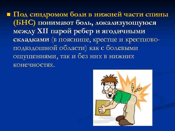 n Под синдромом боли в нижней части спины (БНС) понимают боль, локализующуюся между XII