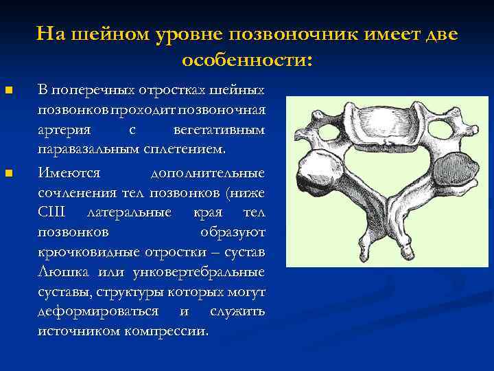 Дорсалгия шейного отдела позвоночника карта вызова смп