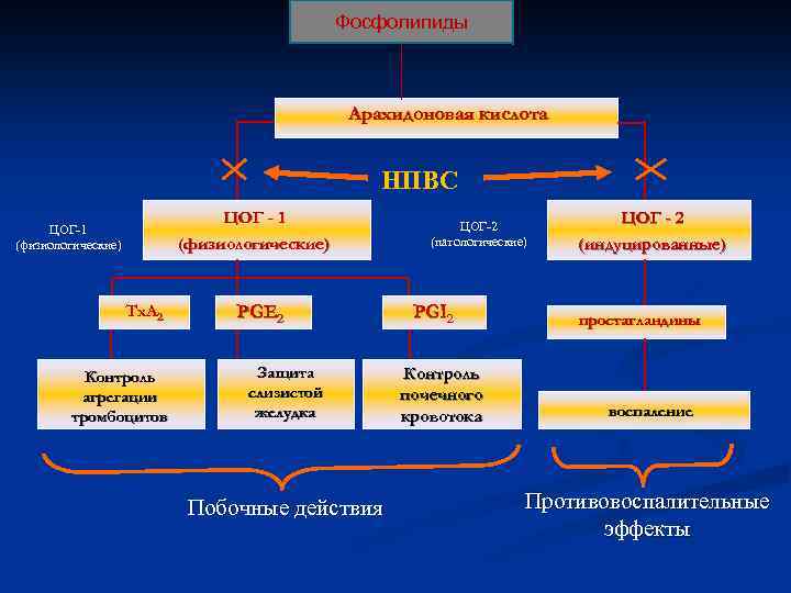 Нпвс схема действия