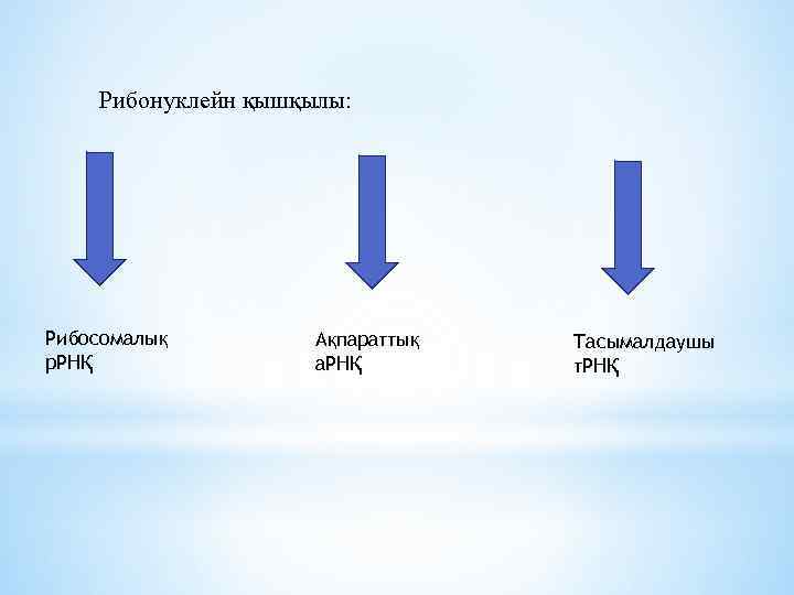 Рибонуклейн қышқылы: Рибосомалық р. РНҚ Ақпараттық а. РНҚ Тасымалдаушы т. РНҚ 