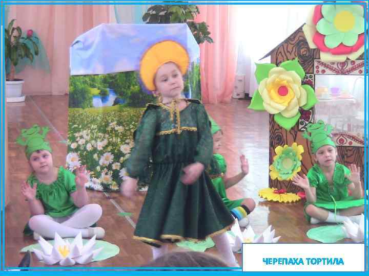 ЧЕРЕПАХА ТОРТИЛА 