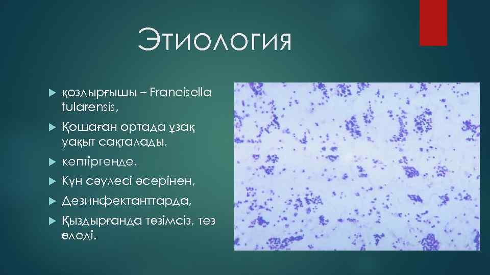 Этиология қоздырғышы – Francisella tularensis, Қошаған ортада ұзақ уақыт сақталады, кептіргенде, Күн сәулесі әсерінен,