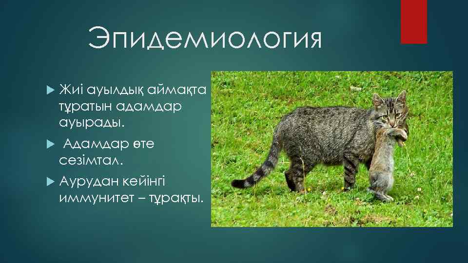 Эпидемиология Жиі ауылдық аймақта тұратын адамдар ауырады. Адамдар өте сезімтал. Аурудан кейінгі иммунитет –