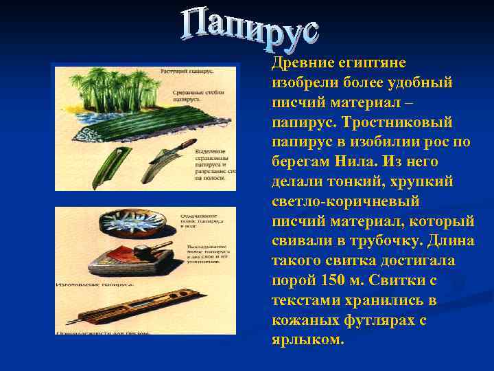 Древние египтяне изобрели более удобный писчий материал – папирус. Тростниковый папирус в изобилии рос
