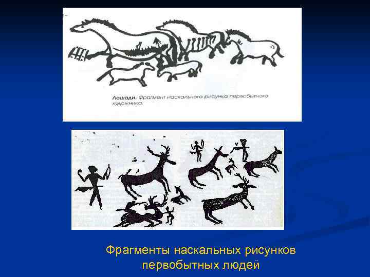 Фрагменты наскальных рисунков первобытных людей 