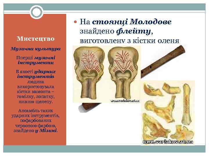  На стоянці Молодове Мистецтво Музична культура Пперші музичні інструменти В якості ударних інструментів