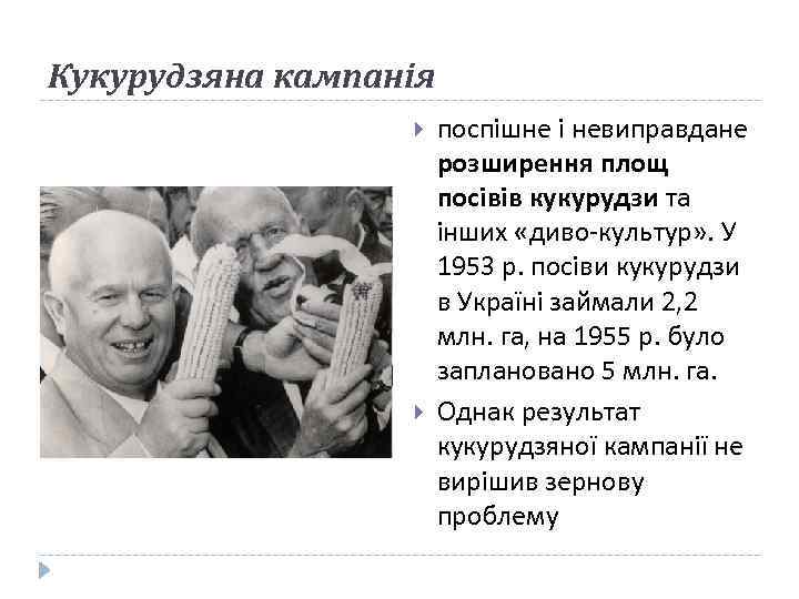 Кукурудзяна кампанія поспішне і невиправдане розширення площ посівів кукурудзи та інших «диво-культур» . У