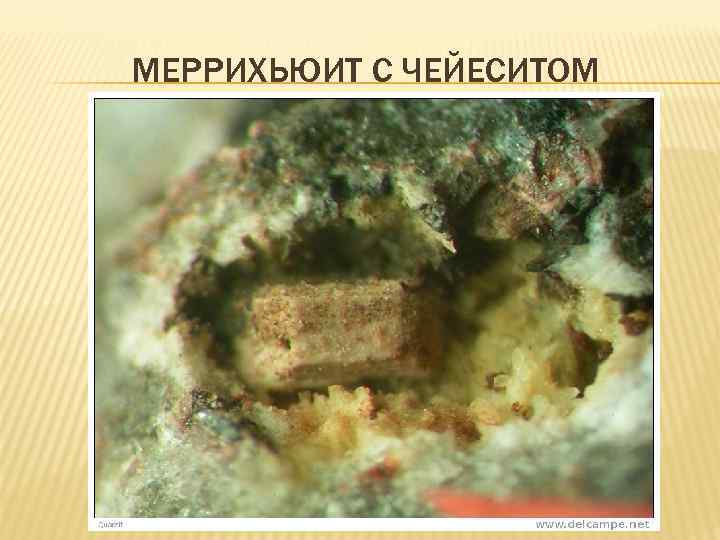 МЕРРИХЬЮИТ С ЧЕЙЕСИТОМ 