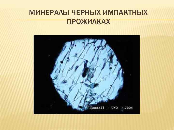 МИНЕРАЛЫ ЧЕРНЫХ ИМПАКТНЫХ ПРОЖИЛКАХ 