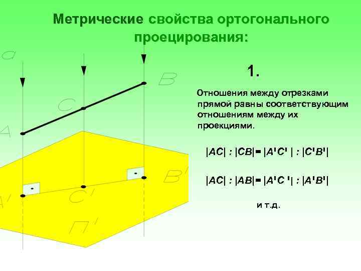 Метрические свойства ортогонального проецирования: 1. Отношения между отрезками прямой равны соответствующим отношениям между их