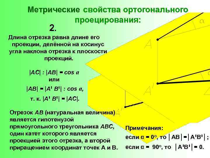 Метрические свойства ортогонального проецирования: 2. Длина отрезка равна длине его проекции, делённой на косинус