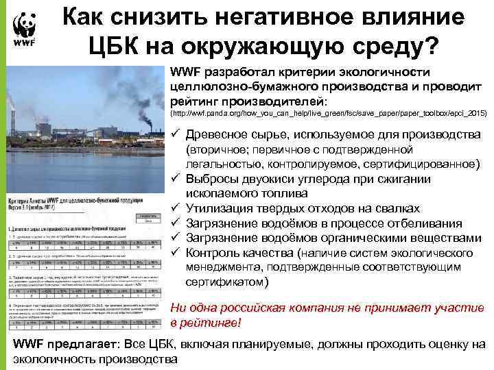 Как снизить негативное влияние ЦБК на окружающую среду? WWF разработал критерии экологичности целлюлозно-бумажного производства