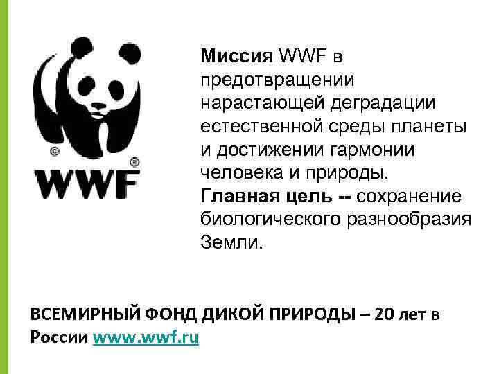 Wwf презентация на английском