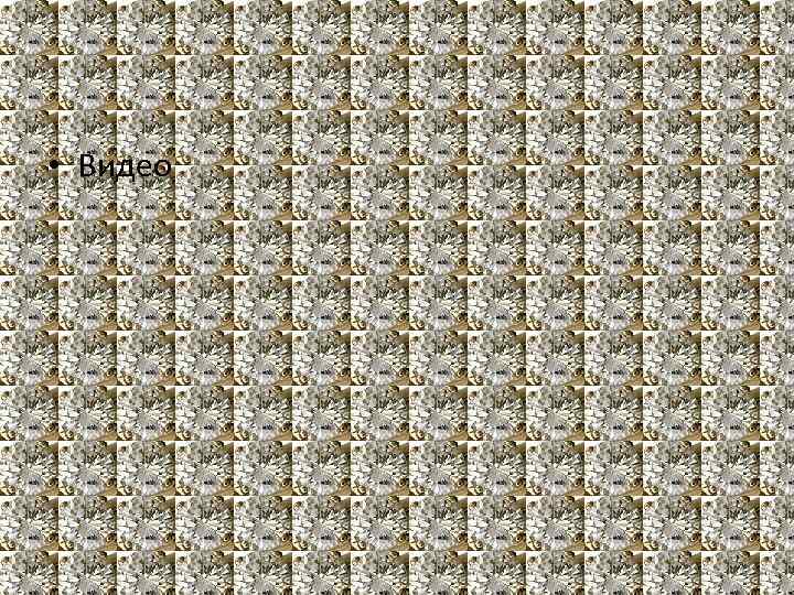  • Видео 