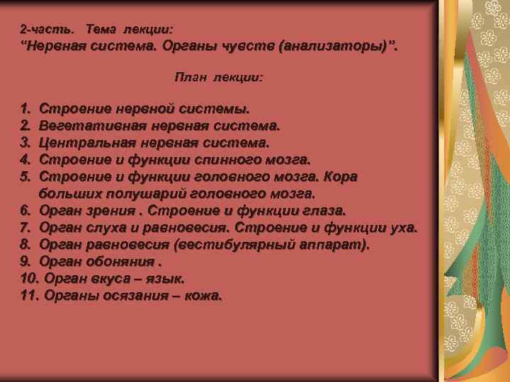 2 -часть. Тема лекции: “Нервная система. Органы чувств (анализаторы)”. План лекции: 1. 2. 3.