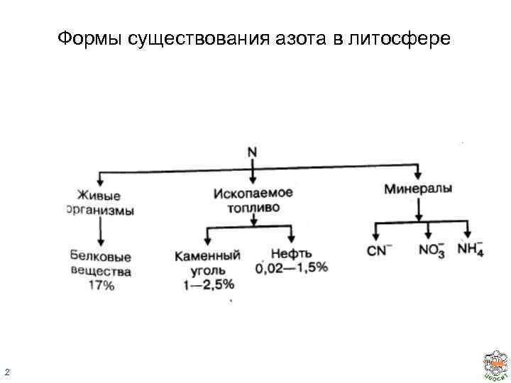 Формы существования азота в литосфере 2 
