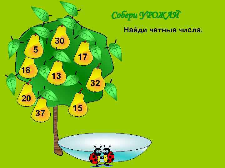 Собери УРОЖАЙ Найди четные числа. 5 18 30 17 13 20 37 32 15