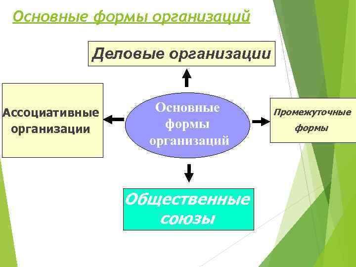 Основные формы организаций Деловые организации Ассоциативные организации Основные формы организаций Общественные союзы Промежуточные формы