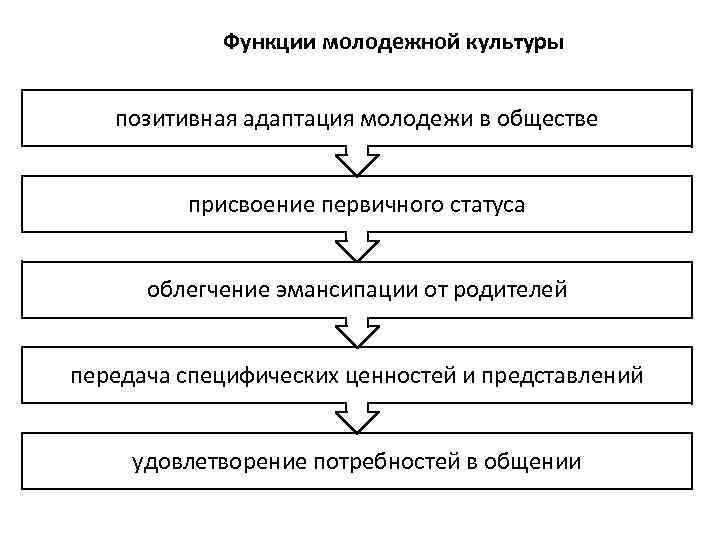 Функции молодежной культуры позитивная адаптация молодежи в обществе присвоение первичного статуса облегчение эмансипации от