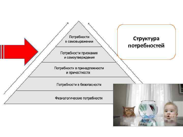 Структура потребностей 