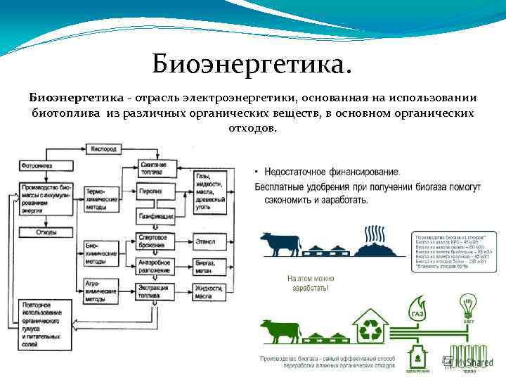 Биоэнергетика - отрасль электроэнергетики, основанная на использовании биотоплива из различных органических веществ, в основном