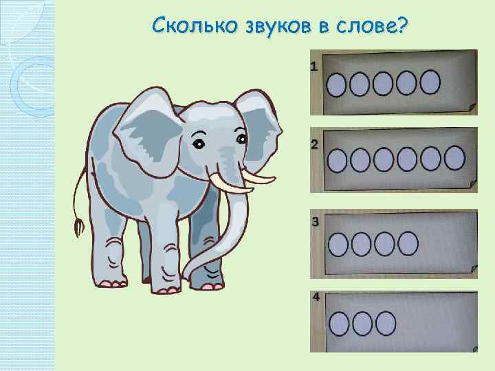 Сколько звуков в слове? 