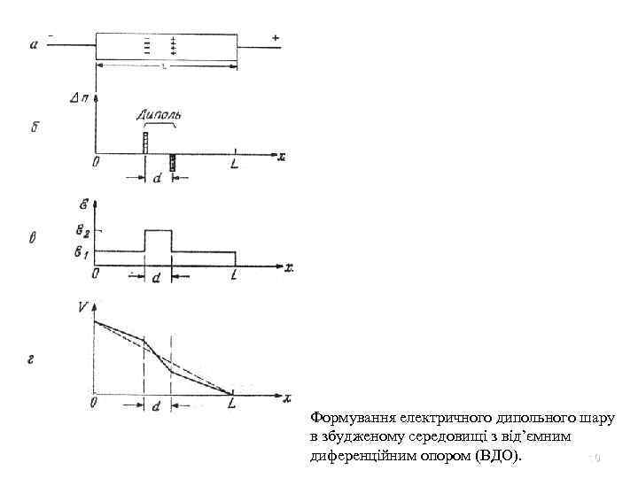 Формування електричного дипольного шару в збудженому середовищі з від’ємним диференційним опором (ВДО). 10 