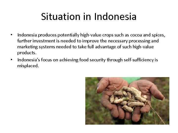 Situation in Indonesia • Indonesia produces potentially high-value crops such as cocoa and spices,