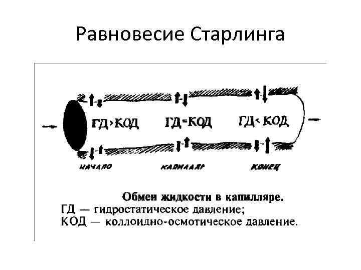 Схема старлинга патофизиология