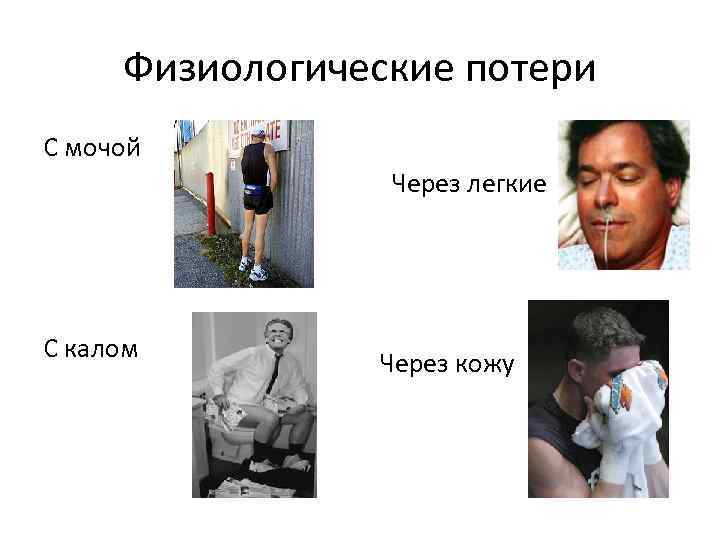 Физиологические потери С мочой Через легкие С калом Через кожу 