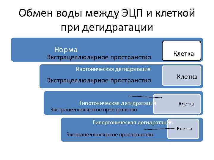 Обмен воды между ЭЦП и клеткой при дегидратации Норма Экстрацеллюлярное пространство Изотоническая дегидратация Экстрацеллюлярное