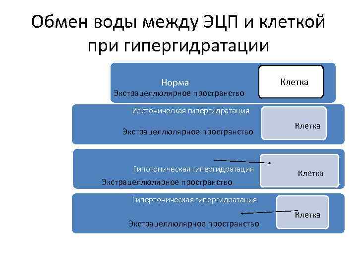 Обмен воды между ЭЦП и клеткой при гипергидратации Норма Экстрацеллюлярное пространство Клетка Изотоническая гипергидратация