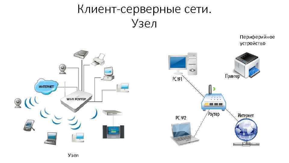 Узлы сети виды